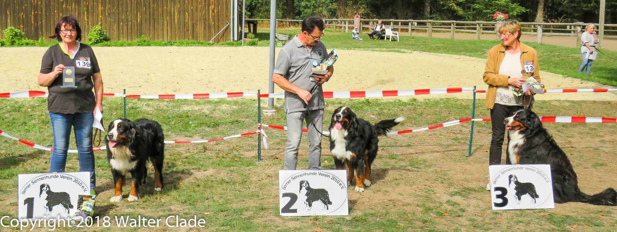 Offene Klasse Rüden