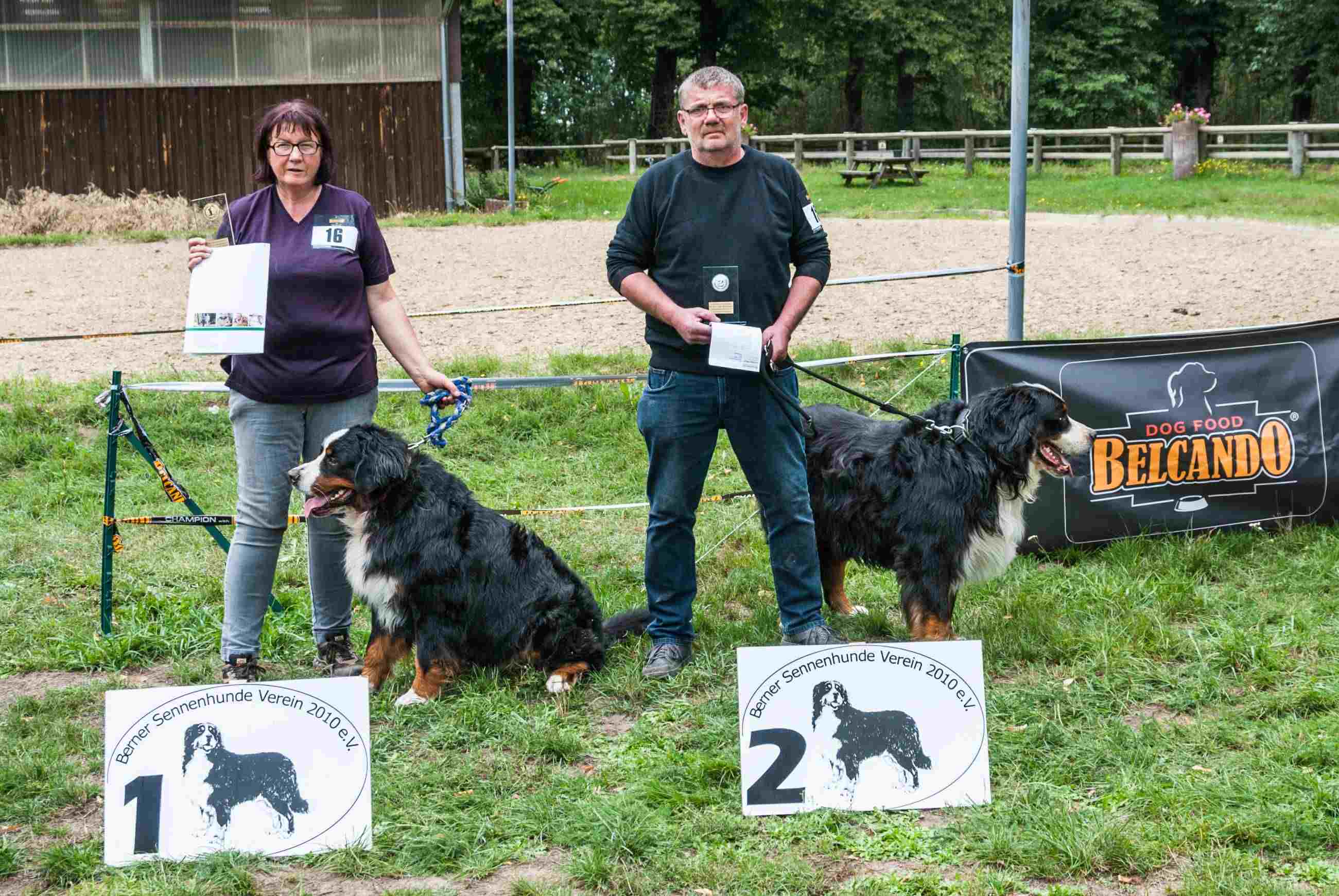 Championklasse Rüden
