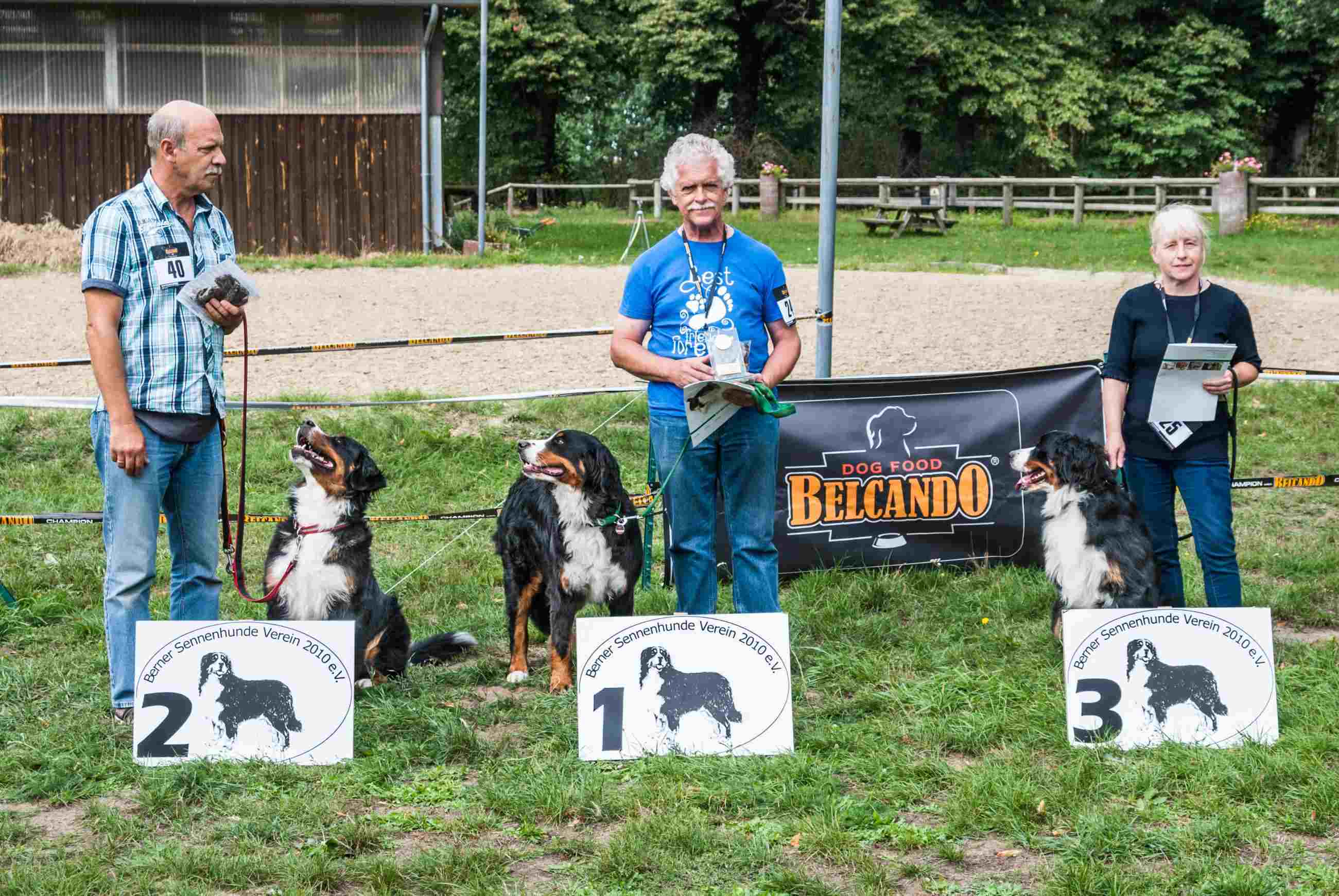 Offene Klasse Hündinnen
