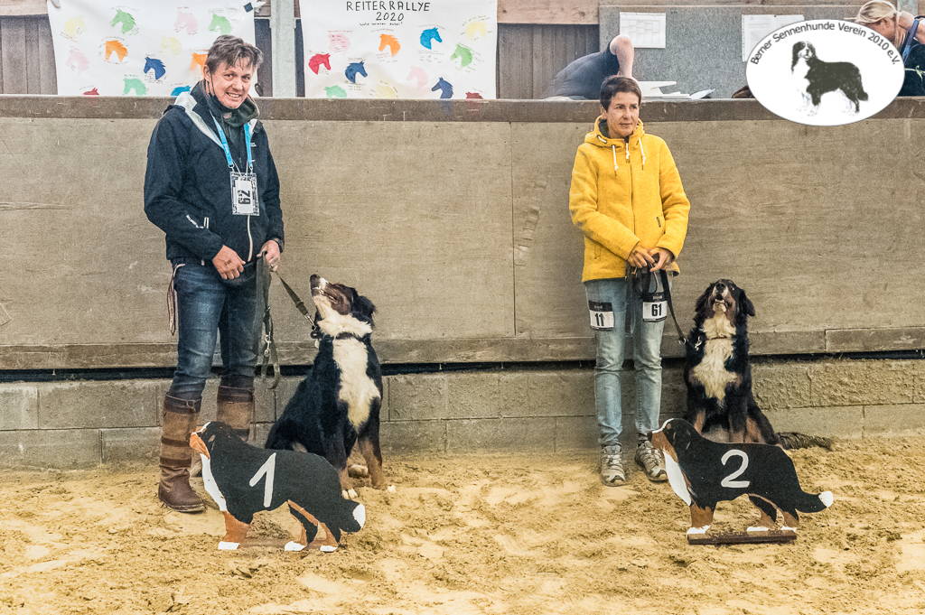 Jüngstenklasse Hündinnen