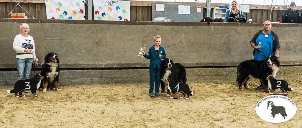 Offene Klasse Rüden
