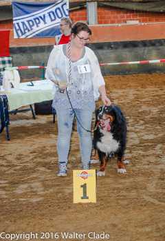 Lacrima de la Joy de Marais Champagne auf der 5.Schönheitsschau der Berner Sennenhunde Vereind e.V. in Raesfeld-Erle