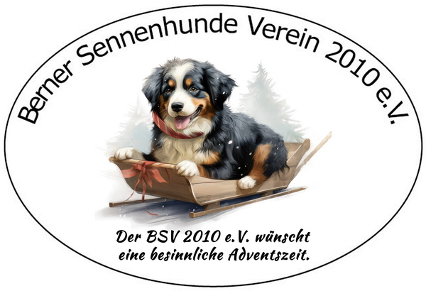 BSV2010 adventszeit k