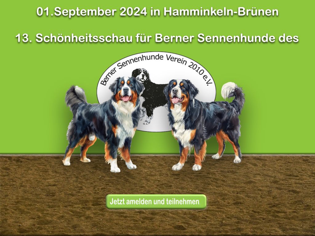 13. Schönheitsschau für Berner Sennenhunde des BSv 2010 e.V. 