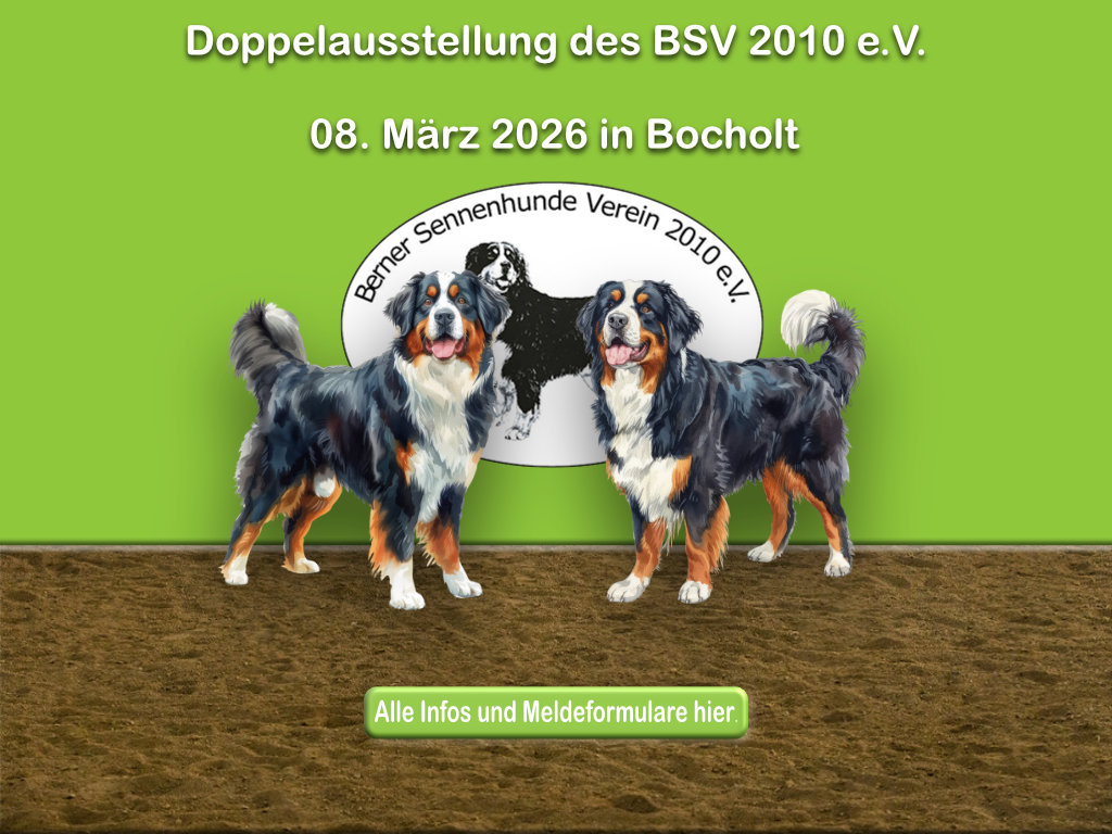 Doppelausstellung des BSV 2010 e.V. am 08. März 2026