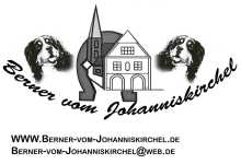 logo vom johanniskirchel